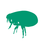 Pet flea treatment